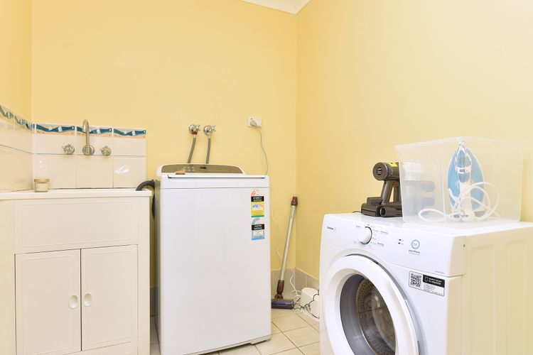 Salt and Paws @ Fingal Bay