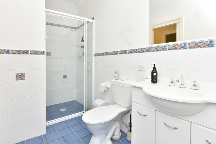 Salt and Paws @ Fingal Bay