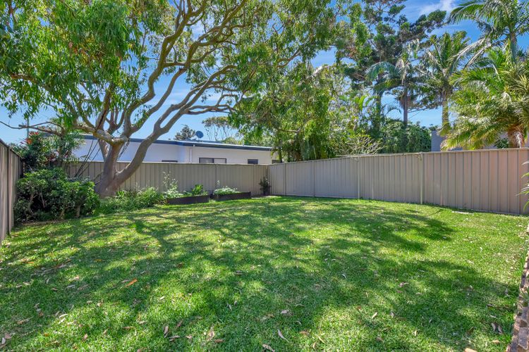 Salt and Paws @ Fingal Bay