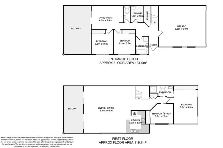 Salt and Paws @ Fingal Bay