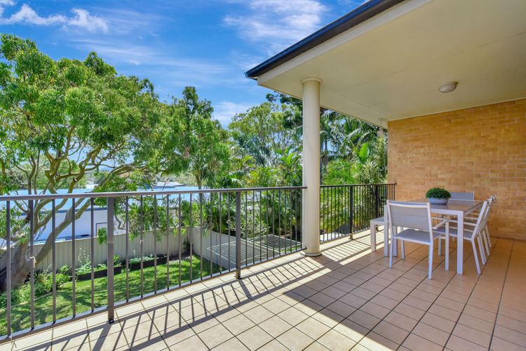 Salt and Paws @ Fingal Bay