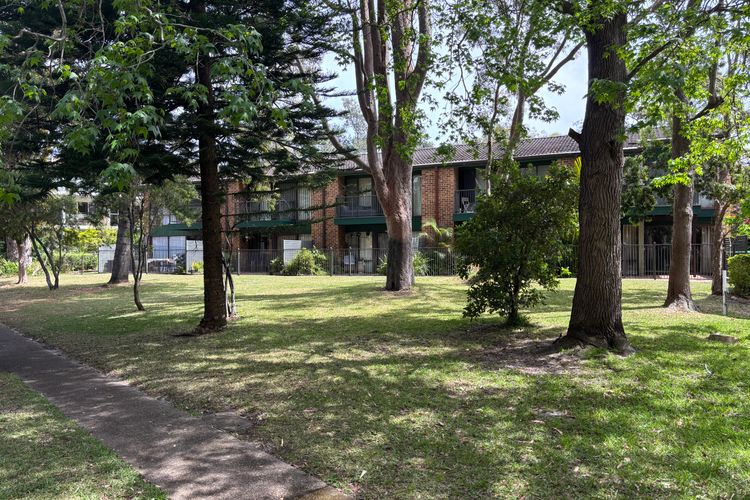 Catalina Cove-From Door to Shore in 2 Minutes