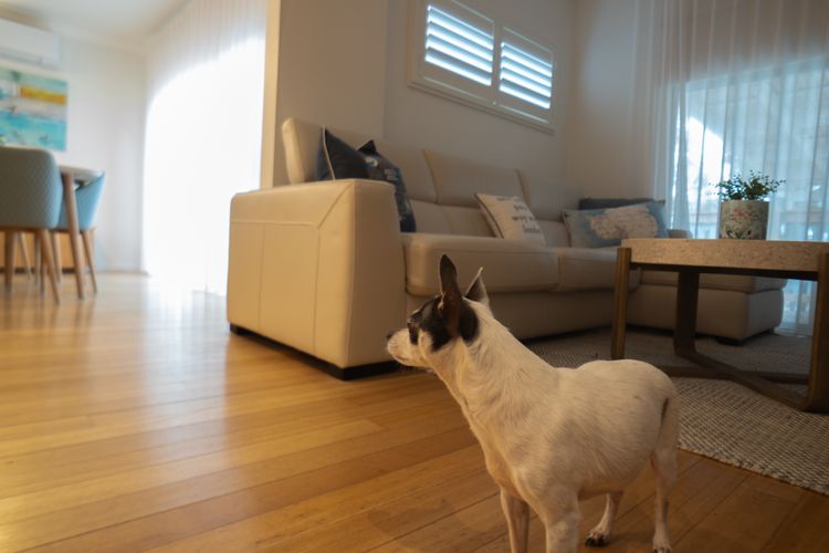 Annie’s Beach House