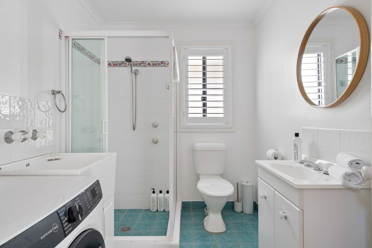 Frangipani At The Bay