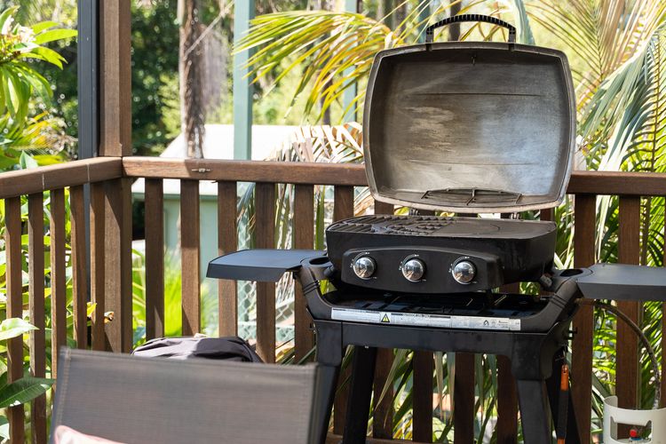 Frangipani At The Bay