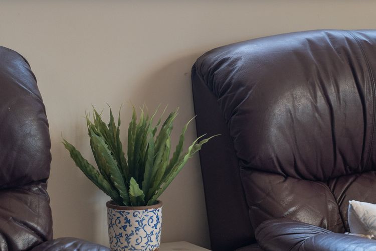 Frangipani At The Bay