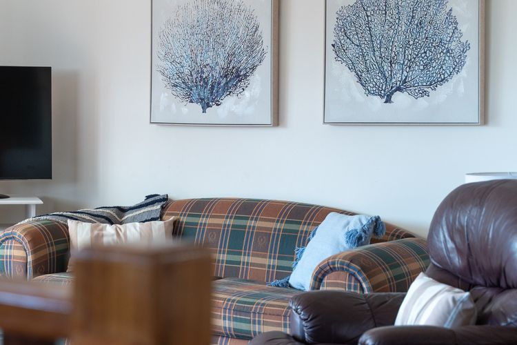 Frangipani At The Bay