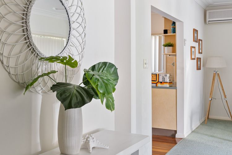 Frangipani At The Bay