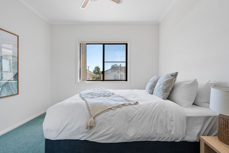 Frangipani At The Bay