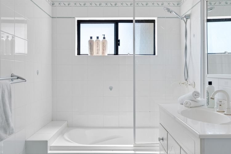 Frangipani At The Bay