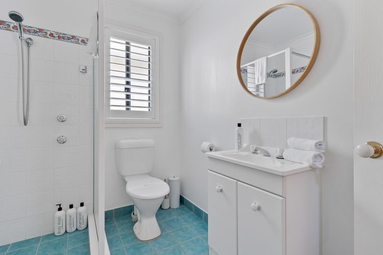 Frangipani At The Bay