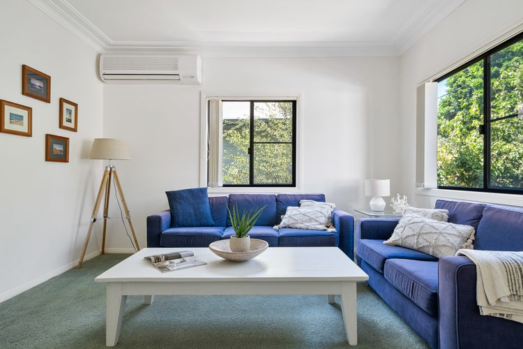 Frangipani At The Bay