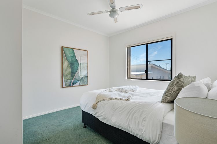 Frangipani At The Bay