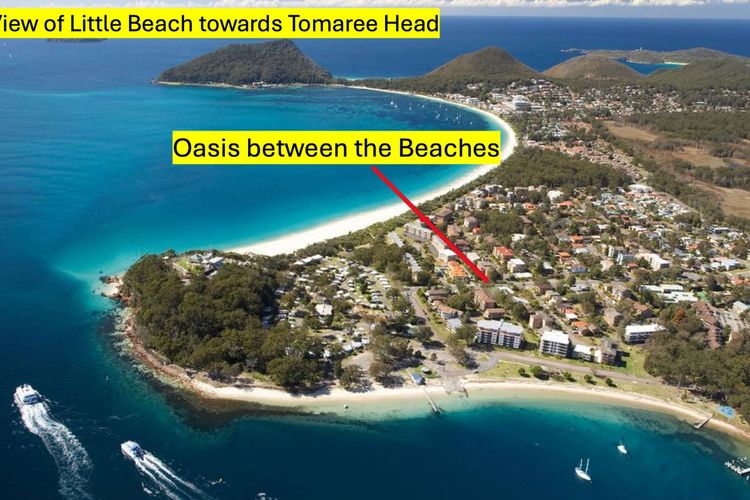 Oasis Between the Beaches