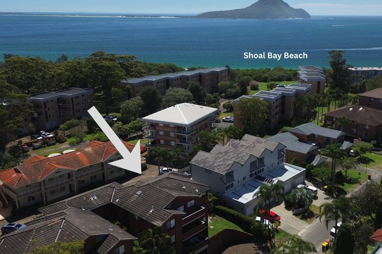 Oasis Between the Beaches