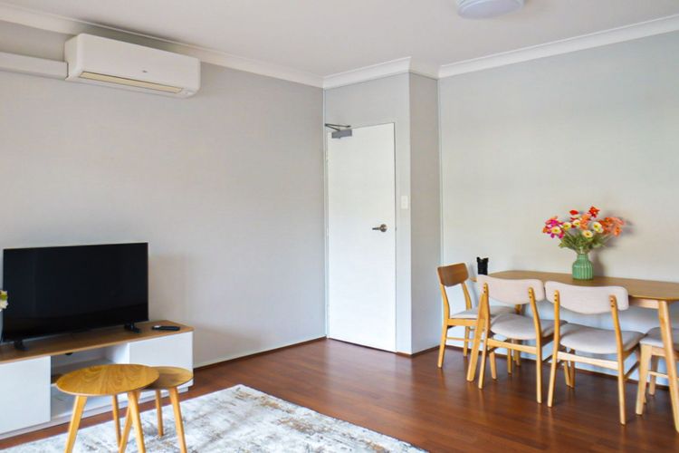 Oasis Between the Beaches