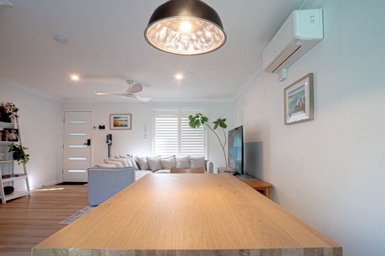 Paws & Palms Hideaway