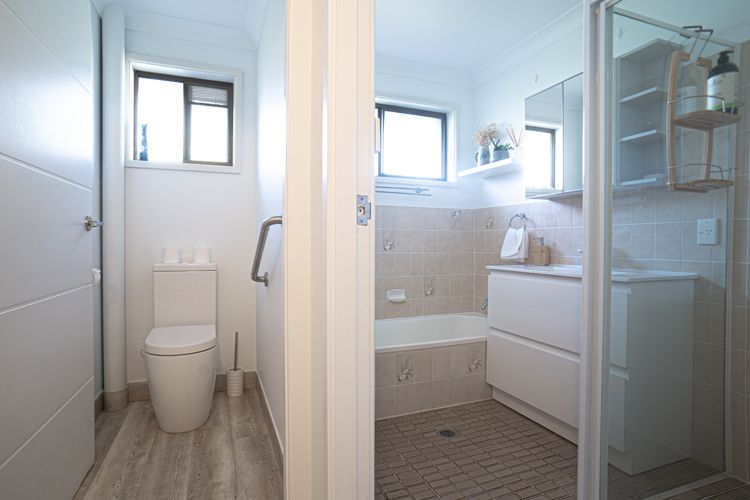 Paws & Palms Hideaway