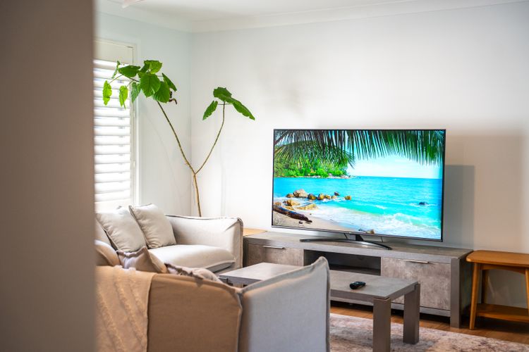 Paws & Palms Hideaway