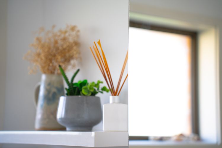 Paws & Palms Hideaway