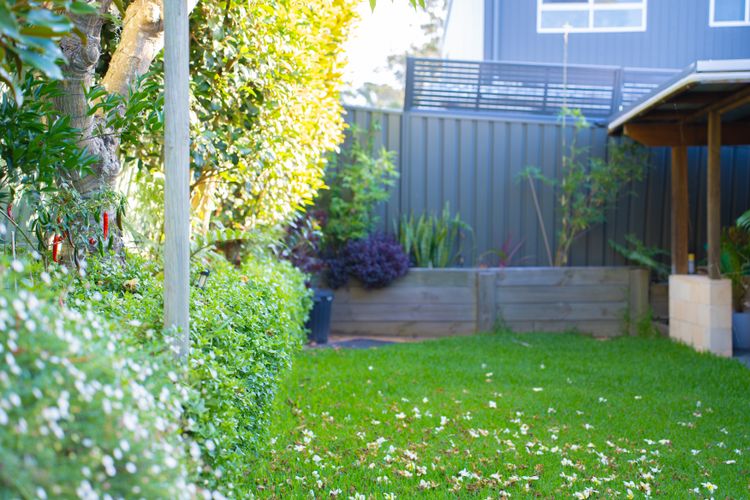 Paws & Palms Hideaway