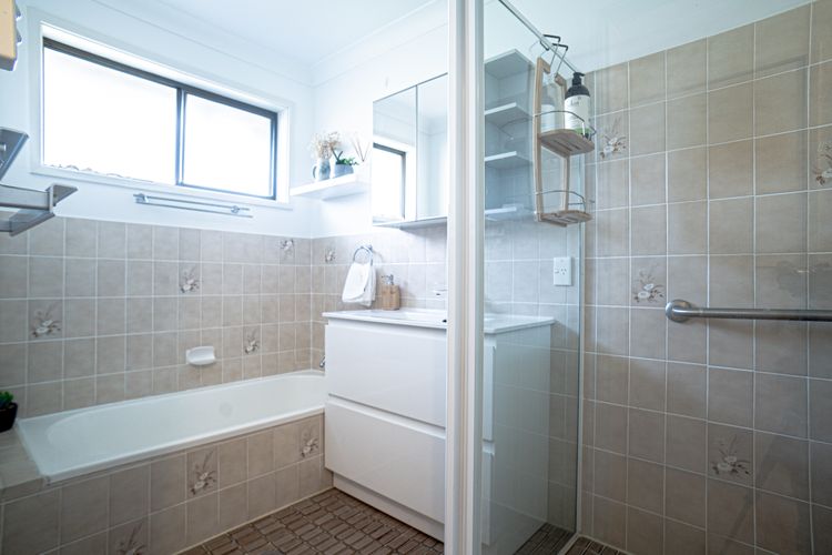 Paws & Palms Hideaway