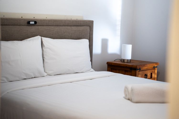 Paws & Palms Hideaway