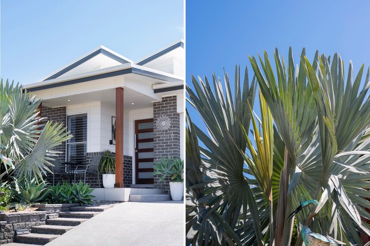 Corlette Coastal Haven