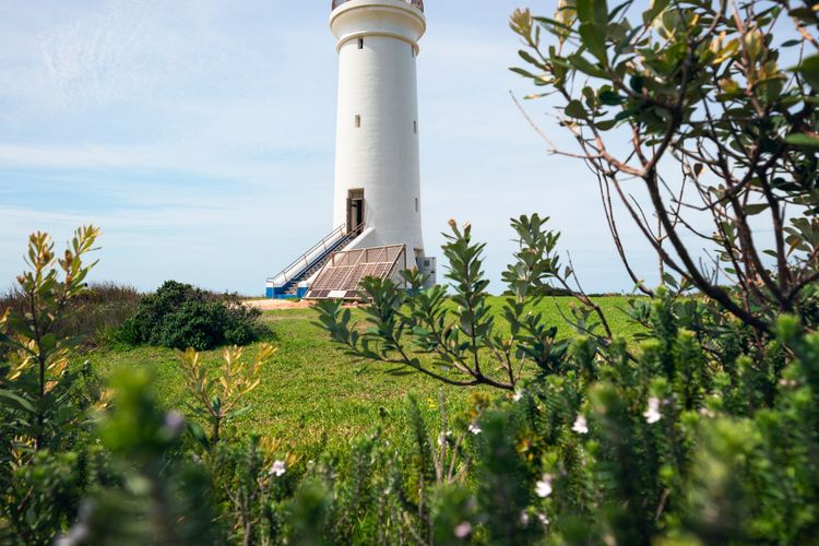 The Beach Garden at Fingal Bay