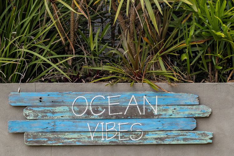Ocean Vibes