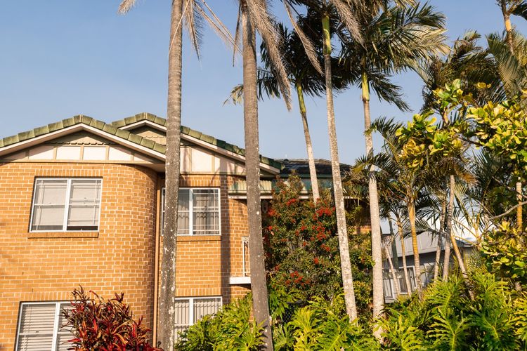 Sawtell Serenity