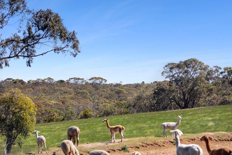 Glenkeen Farm and Cabins