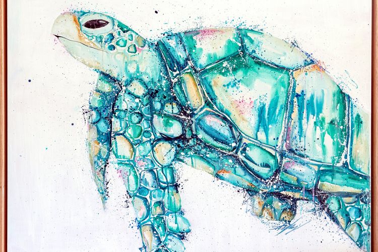 Port Douglas Valley Magic