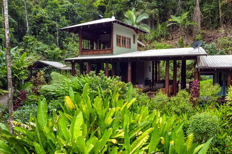 The Daintree Treehouse