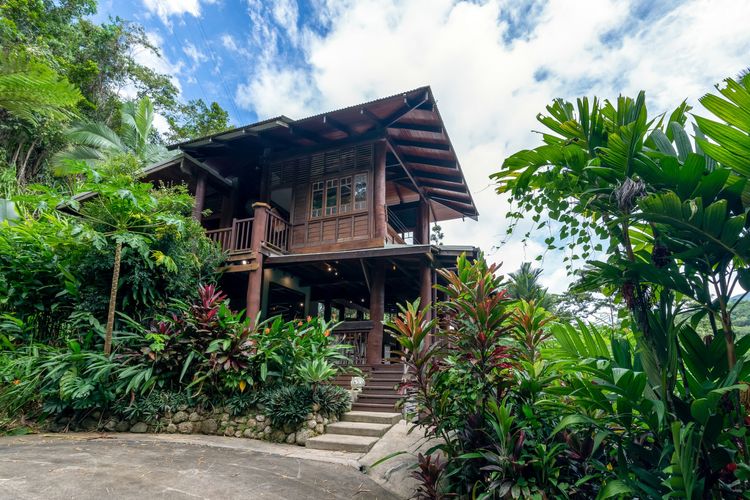 The Daintree Treehouse