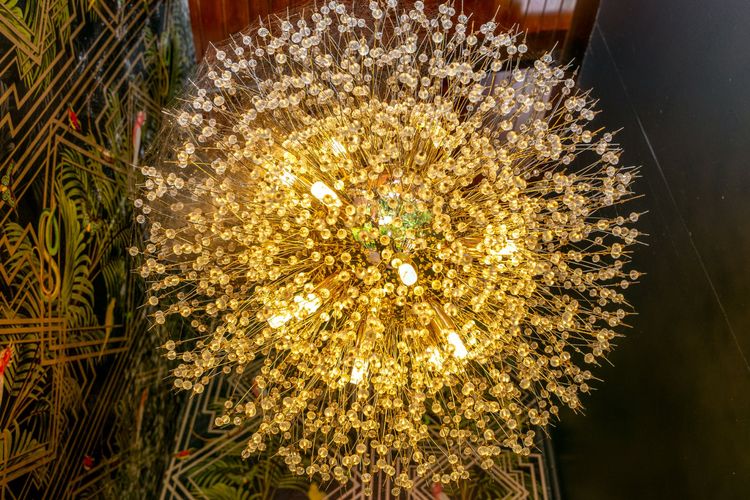 The Daintree Treehouse