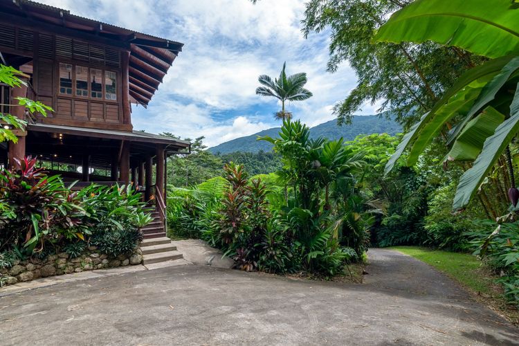 The Daintree Treehouse