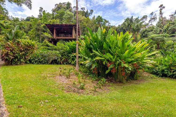 The Daintree Treehouse