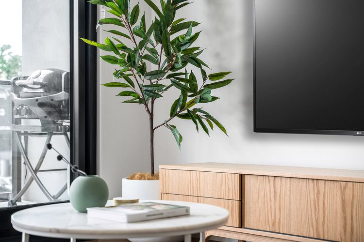 Axel Apartments G01 The Grove
