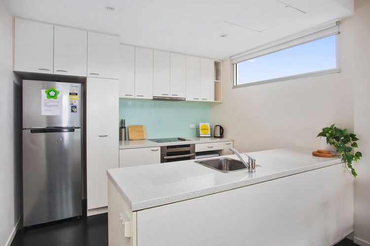 Zinc Views 501
