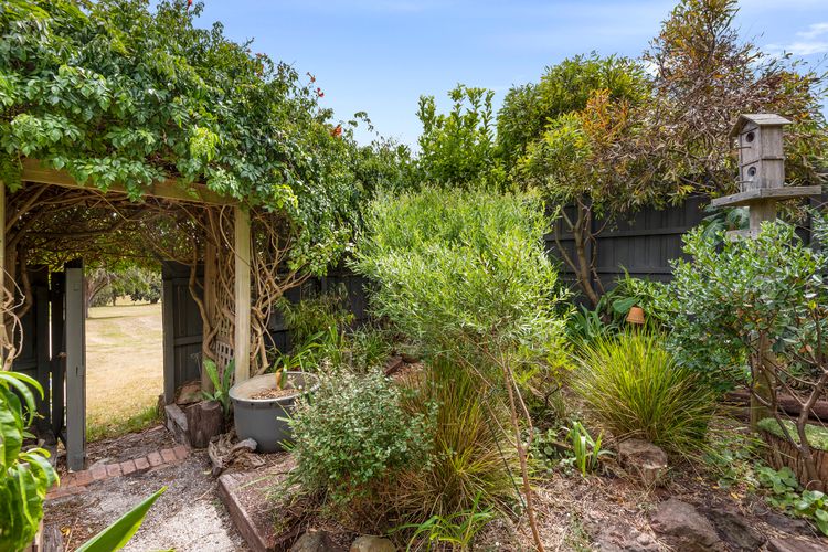 Gummy House by the Bay