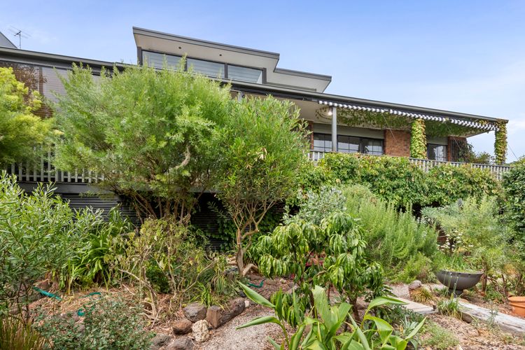 Gummy House by the Bay