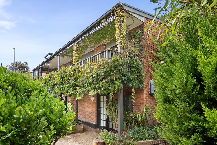 Gummy House by the Bay