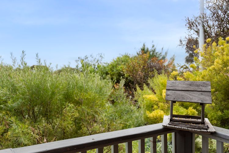 Gummy House by the Bay