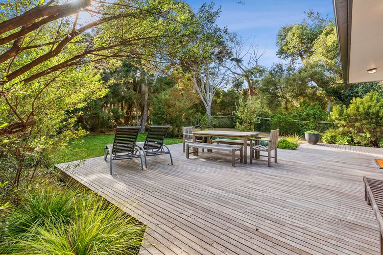 Alexander in Old Lonnie