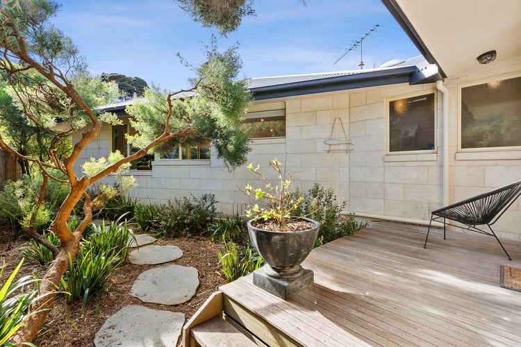 Alexander in Old Lonnie