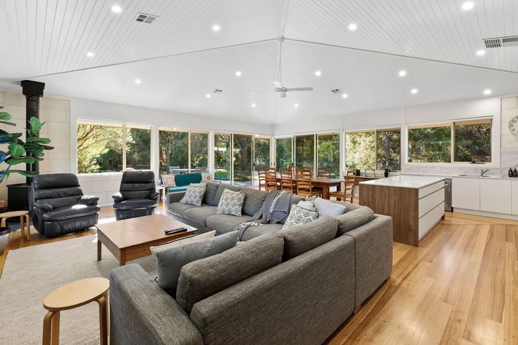 Alexander in Old Lonnie