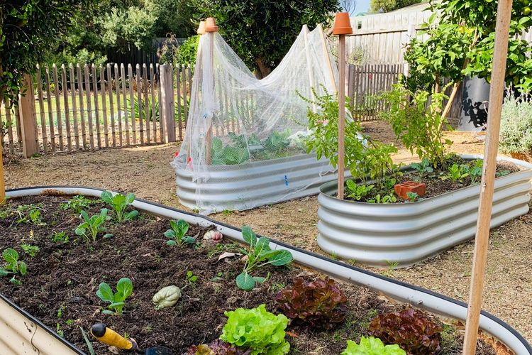 Charming Beach House