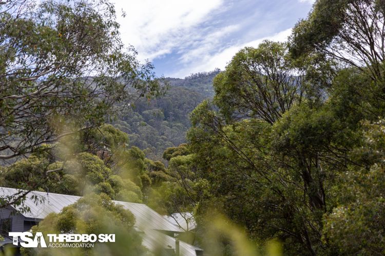 Ironmongie 1 (JackFrost)