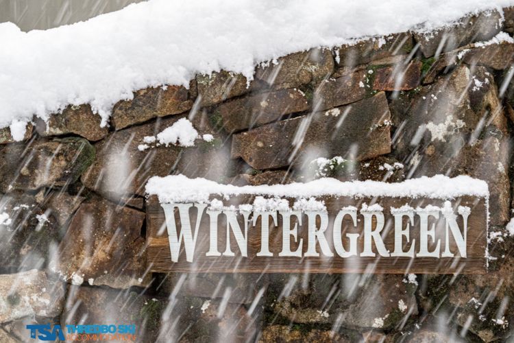 Wintergreen 5
